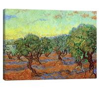 Posterlounge Olivar II Lienzo de Vincent van Gogh 80 x 60 cm Verde Cuadros Decoración para la pared