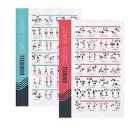 PosterMate Póster Ejercicio en Casa con Pesas y Mancuernas FitMate - Pack 2 Tablas Ejercicios Gimnasio con Pesos Libres - Láminas Ejercicios Fitness en Casa con Tabla de Rutinas (42 x 63 cm)