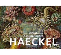 Postkarten-Set Ernst Haeckel: 18 Kunstpostkarten