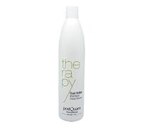 Postquam - Therapy | Champú Bifunción Antigrasa con Soja y Avena, 500 ml
