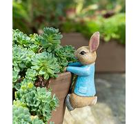Pot Buddies Beatrix Potter - Figura colgante de Peter Rabbit para macetas, adorno de jardín hecho a mano, figura decorativa para macetas