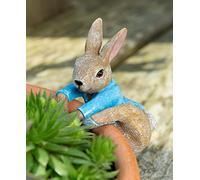 Pot Buddies Beatrix Potter Peter Rabbit Figura Colgante de Escalada para Maceta - Adorno de Jardín Hecho a Mano - Figura Decorativa de Jardinera de Flores para uso en exteriores o interiores.