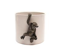 Pot Buddies - Colgador de Maceta Hecho a Mano con Figura de chimpancé - Adorno Decorativo para jardín - Figura de Maceta
