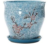 Pot de Flores de cerámica Extra Gran Graneza Cirma Cirrería Pluma Bonsai Plantas Suculentos Pats de Planta de Interior y al Aire Libre Solteria de Flores con Orificio de Drenaje DEC (Azul 25x22.5 cm)