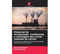 Potencial de recuperação, reutilização e reciclagem das cinzas volantes de carvão: Estudos sobre a gestão das cinzas volantes geradas em centrais térmicas a carvão