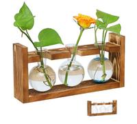 Pots para Plantas, Estaciones de propagación de Plantas Planta Tarro de Vidrio Terrario con Soporte de Madera para hidropónicas Decoración del hogar del hogar