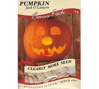 Potseed Las Semillas de Calabaza de Jack O'Lantern - 6 Gramos