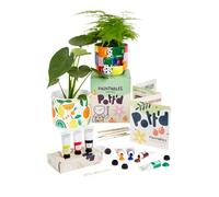Pott’d Paintables Kit para Pintar Macetas, Kit de Manualidades Adultos con Macetas, Pinturas Acrílicas, Pinceles, Lápiz y Guía, Set Ideal para Principiantes o como Regalo