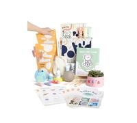 Pott'd Home - Kit arcilla de secado al aire para principiantes. Kit de manualidades para adultos. El kit incluye: cerámica secado al aire para adultos, herramientas, pinturas, pinceles, guía práctica