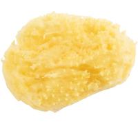 Poupy - Esponja Marina Natural para Bebé, Suave y Delicada, Absorbe Impurezas, Marrón, 1 Unidad