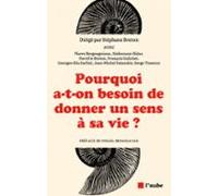 Pourquoi A-t-on Besoin De Donner Un Sens À Sa Vie ? (ebook)