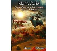 Pourquoi je t'ai attendu ?