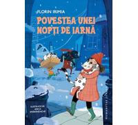 Povestea unei nopti de iarna - Florin Irimia