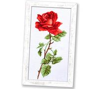 Povitrulya Kit de punto de cruz con diseño de rosas rojas para adultos con patrón de flores | Kits de bordado a mano para regalo del día de la madre