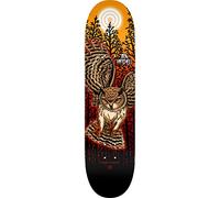 Powell Peralta Ben Hatchell Owl Popsicle 8.25 - Tabla de monopatín