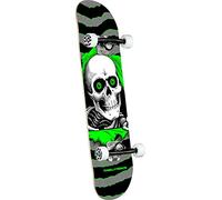 Powell Peralta Ripper - Monopatín completo (20,3 x 79,9 cm), color plateado y verde
