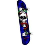 Powell Peralta Skull and Snake One Off - Monopatín Completo