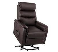 Power Lift Recliner Chair for Elderly, Leather Electric Sofa Living Room Chairs, Side Pocket, Remote Control, Support 330 Pounds