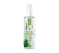 Power Of Plants Aloe