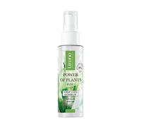 Power Of Plants Aloe