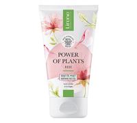 Power Of Plants Rose