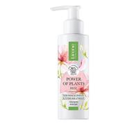 Power Of Plants Rose