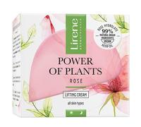 Power Of Plants Rose