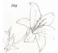 Power of Praise - Joy [Import]