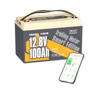 Power Queen 12V 100Ah Bluetooth Batería LiFePO4 con 100A BMS, Baja autodescarga, Baja Temperatura Auto Cut Off App Control Batería de Litio para Barco, Pesca,Sistema Solar,Autocaravana,Camping