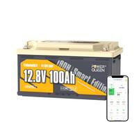 Power Queen 12V 100Ah H190 Batería LiFePO4 Bluetooth,Litio para RV y Solar | 100A BMS,Protección contra Bajas Temperaturas,DIN H8 L5,4000+Ciclos Profundos,1280Wh para Energía solar,Fuera de la Red