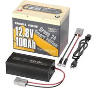 Power Queen Batería de Litio de 12V 100Ah, 1280 WH, baterías LiFePO4 de Ciclo Profundo hasta 15000 ciclos, BMS 100A para Autocaravana (P12V100-100-PERM24-BT+P12V20A-BCHA)