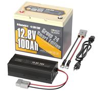 Power Queen Batería LiFePO4 de 12,8 V, 100 Ah, Bluetooth Group24, batería de litio con cargador LiFePO4 de 14,6 V, 20 A, ideal para caravanas, camping, marina, sistema solar