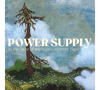 Power Supply - In The Time Of The Sabre-Toothed Tiger [VINYL] [Vinilo]