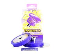 Powerflex PFR5-300 Pieza Cojinetes diferencial Trasero