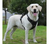 POYCO Arnés Grande Sin Tirones - Funda AirTag Integrada, Compatible con Apple AirTag, Diseño Ergonómico, Reflectante y Transpirable para Perro (Negro, M)