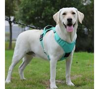 POYCO Arnés Grande Sin Tirones - Funda AirTag Integrada, Compatible con Apple AirTag, Diseño Ergonómico, Reflectante y Transpirable para Perro (Turquesa, XL)