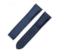 POYNMRE Correa de reloj de nailon resistente al agua con base de goma de 20 mm y 22 mm compatible con pulseras de reloj for hombre 8900 9900(Blue,22mm silver buckle)