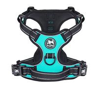 PoyPet No Pull Arnés reflectante para perros, con 2 correas de sujeción y mango de control fácil para perros pequeños y medianos (azul menta, L (pack de 1)