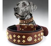 PP COLOR EliteGuard - Collar de perro de cuero auténtico, hecho a mano con hebilla de acero inoxidable, 2.2 pulgadas, uso diario para perros grandes, marrón dorado, talla M