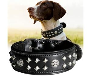 PP COLOR EliteGuard - Collar de perro de cuero auténtico, hecho a mano con hebilla de acero inoxidable, 2.2 pulgadas, uso diario para perros grandes, color negro, talla M