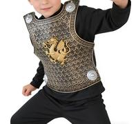 PP Roman Gladiator Costume Set For Kids | Bronze Silver Breastplate Shoulder Arm Guards | Unisex Historical Role-Play Dress Up Kit | Boys Girls Party Fancy Outfit Accessory