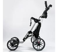 PP-Vic Carrito De Golf Plegable De 4 Ruedas con Asiento, Carrito De Aluminio Liviano con Freno De Pie, Soporte para Paraguas Ajustable Y Asiento, Manillar con Ajuste De Altura De 4 Posiciones,Gris