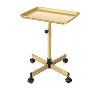 PP-Vic Carro Con Bandeja Para Salón De Tatuajes, Bandeja Rodante De Aluminio Para Salón, Carro Utilitario De Altura Ajustable, Bandeja Con Ruedas Para Spa, Peluquería, Clínica Dental,Metálico