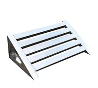 PP-Vic Rampas De Umbral De Silla De Ruedas, Rampas De Puertas Sin Deslizamiento, Rampas Portátiles Portátiles,B100×30×10cm