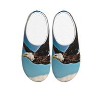 PPHGUT Flying Eagle Print - Zapatos unisex de franela de caucho termoplástico, suela antideslizante, antibolitas, para uso en interiores