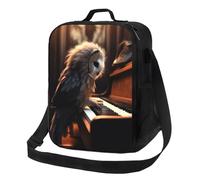 PPTHSNVB Owl Plays - Lonchera de piano para mujeres, hombres y adultos, bolsas de almuerzo aisladas, a prueba de fugas, bolsa de almuerzo reutilizable con correa de hombro ajustable para el trabajo y