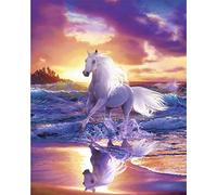 PPTRTYQ Pintar por Numeros Paisaje de Playa Caballo Blanco DIY Cuadro al óleo con números para Kit de Pintura al óleo Digital para Adultos y niños de Lienzo decoración para el hogar 40x50cm Sin Marco