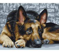 PPTRTYQ Pintar por Numeros Perro Pastor alemán DIY Cuadro al óleo con números para Kit de Pintura al óleo Digital para Adultos y niños de Lienzo decoración para el hogar 40x50cm Sin Marco