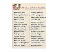 PQYSMVVG Animal Group Names Collective Nouns Educational Canvas Painting Poster Wall-Art for Living Room Bedroom Study(Framed,08x12inch(20x30cm))