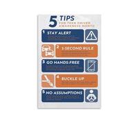 PQYSMVVG Car Tips Guide - Essential Driving Habits for Accident Prevention and Vehicle Care(Framed,12x18inch(30x45cm))